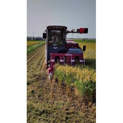 ふるさと納税 香取市 千葉県産 ちばエコ米コシヒカリ5kg×2袋 |  | 03