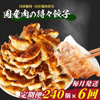 ふるさと納税 下関市 訳あり 国産肉の得々餃子 6回 毎月 定期便 240個 冷凍 小分け たれ付き IB029