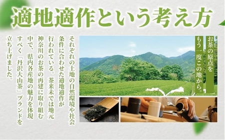 丹沢大山煎茶アイス 12個 【煎茶】