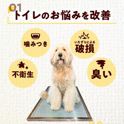 ふるさと納税 小牧市 犬用ステンレス製トイレトレイ(段付きタイプ・スーパーワイドサイズ)[068N03] |  | 01