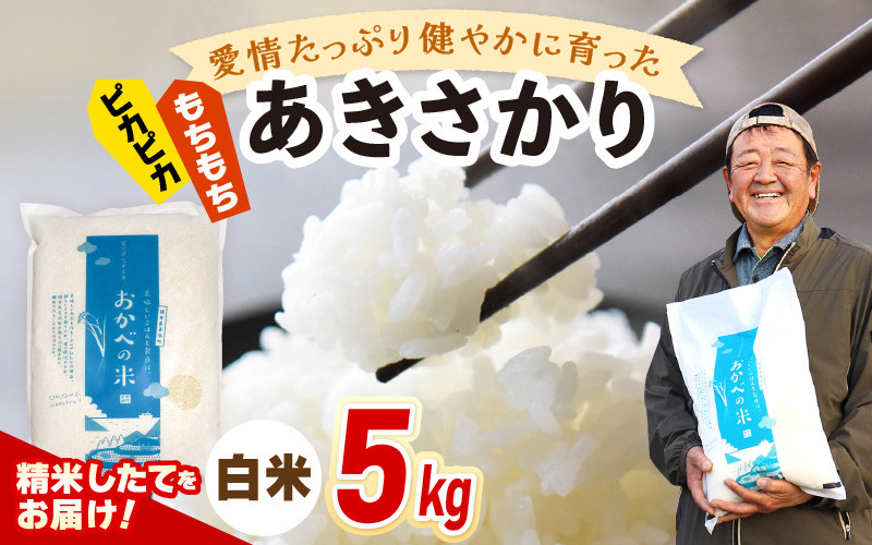 
                  【先行予約】令和8年産 愛情たっぷり健やかに育った ピカピカ もちもち あきさかり（白米）5kg【2026年10月上旬以降順次発送予定】新米 お米 ブランド米 kome おこめ こめ コメ [m29-a029]
                