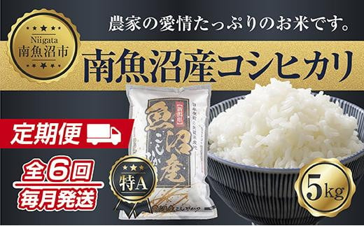 
【定期便】新潟県 南魚沼産 コシヒカリ お米 5kg×計6回 精米済み 半年 毎月発送 （お米の美味しい炊き方ガイド付き）
