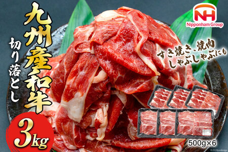 牛肉 訳あり 日本ハム 九州産 和牛 切り落とし 500g 6p 計 3kg [日本ハムマーケティング 宮崎県 日向市 452061136] 冷凍 小分け 個包装 牛 すき焼き もも肉 モモ肉 牛バラ 牛肩