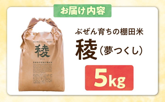 新米 産地直送 精米 国産 おすすめ 人気