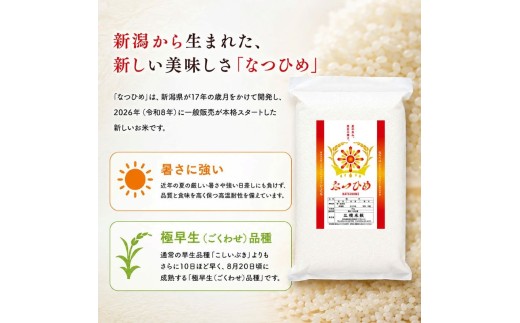 【最短5日発送】 令和8年産 なつひめ 真空パック 白米 10kg  新潟産 新潟米 新発田産 新発田 お米 米 kome ご飯 こめ ごはん ライス ふるさと納税 お弁当 食品 ブランド米 新潟県 