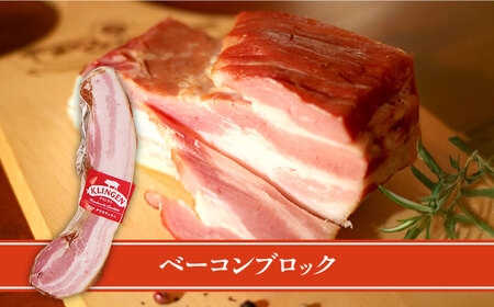 マイスター直伝手作りソーセージ Hセット 6種 ウインナー ソーセージ ベーコン 岐阜市/ドイツデリカテッセン　クリンゲン[ANBQ008]