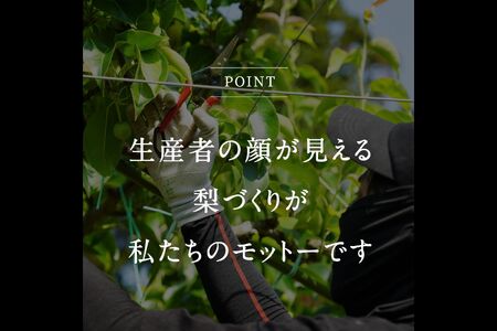 鳥取県南部町産　井田農園の王秋[梨]（3kg箱）＜11月～出荷開始＞　氷温保存