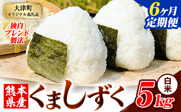【6ヶ月定期便】白米 熊本県産 ブレンド米 くましずく 5kg 熊本県産 ふるさと納税 精米 米 こめ ふるさとのうぜい コメ お米 おこめ《お申込み翌月から出荷》---oz_ksztei_63000_5kg_h_mo6---