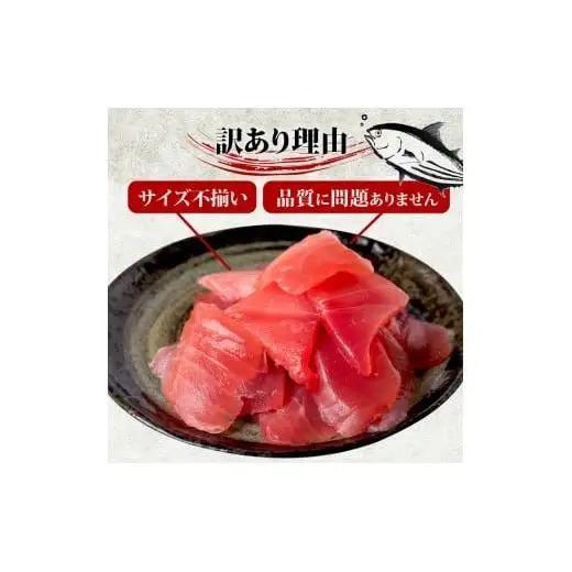 【 訳あり 】 訳ありビンチョウマグロ 1kg