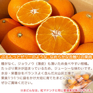 浅井果樹園直送　西宇和産まどんな　３kg