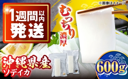 セーイカ (そでいか) 0.6kg (300g ×2パック) 沖縄市漁業協同組合 パヤオ直売店 [BCDZ002] いか イカ 烏賊 つまみ 刺し身 刺身 さしみ 国産 沖縄県産 国産いか 海鮮 シー