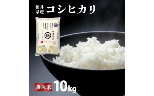 福井県産 コシヒカリ 無洗米 10kg（10kg×1）＜令和7年産 新米 / 数量限定 ＞【米 コメ お米 精米 白米 無洗米 玄米 ご飯 飯 こしひかり ブランド米 国産】[095-a015]