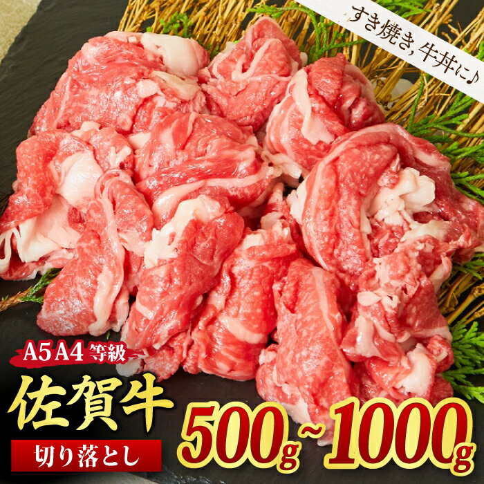 【ふるさと納税】佐賀牛 贅沢 切り落とし すき焼き 牛丼 A5 A4 【500g / 1,000g】