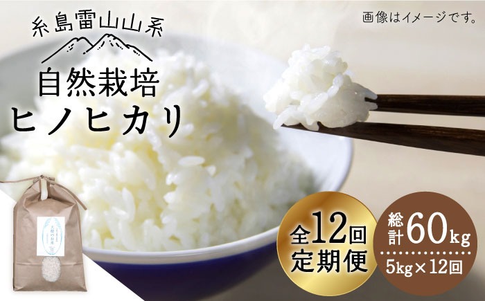 【令和7年産新米予約】【 全12回 定期便 】 自然栽培 ヒノヒカリ 5kg 《糸島》【大石ファーム】【2025年11月中旬以降初回発送】 [ATE019]