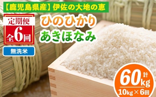 isa518-B 【定期便6回】 ＜無洗米＞選べる精米方法！令和7年産 鹿児島県伊佐南浦産 ひのひかり5kg・あきほなみ5kg (合計60kg・計10kg×6ヵ月) 国産 白米 精米 無洗米 伊佐米 お米 米 生産者 ひのひかり あきほなみ 定期便 【Farm-K】