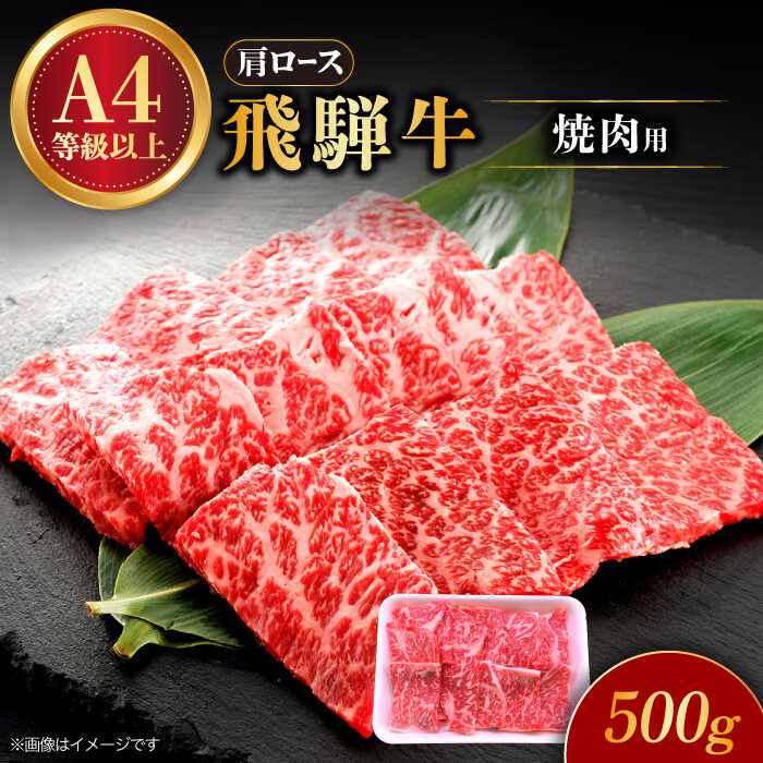 【ふるさと納税】飛騨牛 焼肉用 ロース・肩ロース 500g A4等級以上 多治見市 / 渡辺精肉店 和牛 ブランド牛 牛肉[TAZ030]