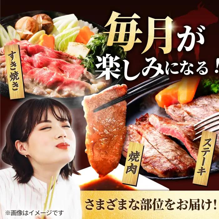 【6回定期便】牛肉1頭まるごと定期便 / 牛肉定期便 IAH032