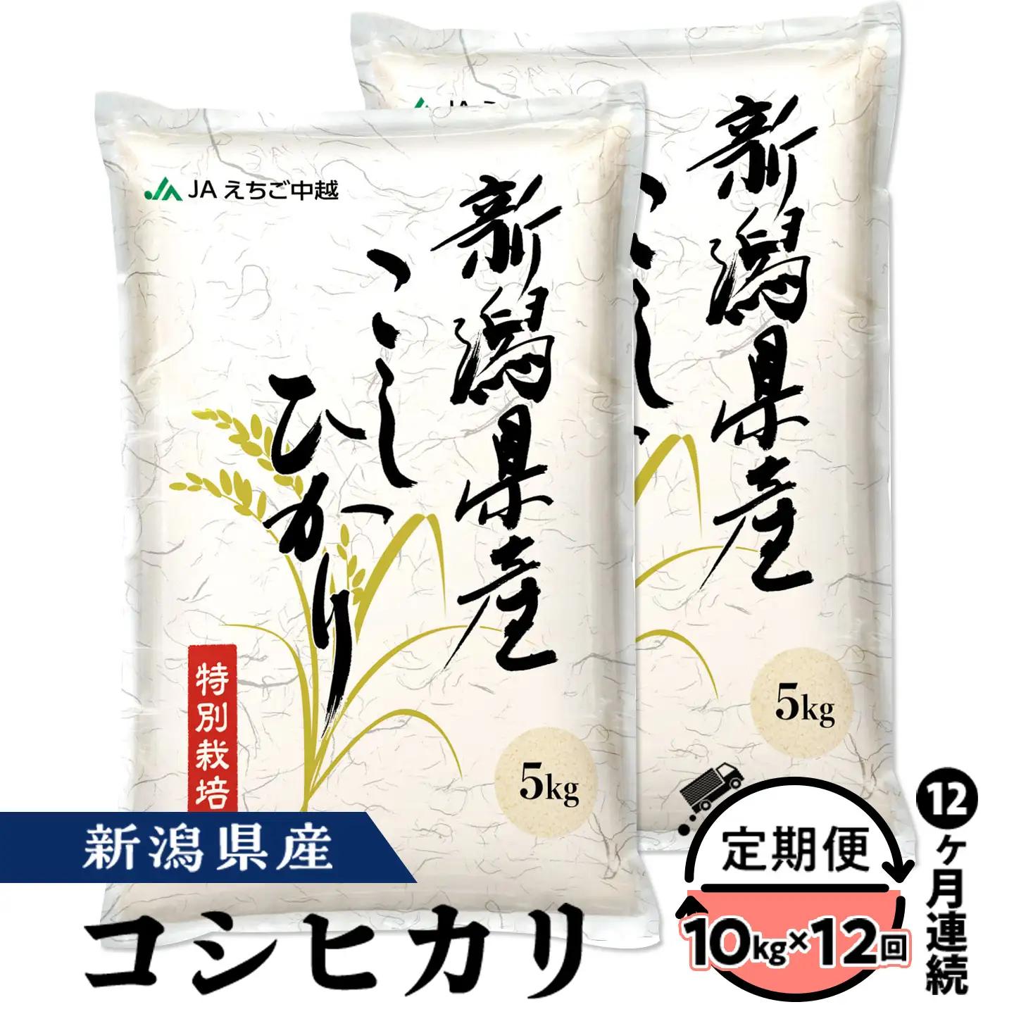 75-7N10ZB【12ヶ月連続お届け】新潟県長岡産コシヒカリ10kg（特別栽培米）【2026年6月発送開始】