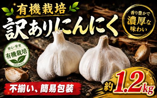 にんにく 有機栽培 約 1.2kg 有機JAS 有機JAS認証 有機JAS 認証 ニンニク 訳あり 簡易包装 不揃い 訳あり 訳有 訳有り 訳アリ わけあり おすすめ 人気 国産 野菜 有機 栽培 千葉県産 千葉 関東 飯田農園 千葉県 香取市 IIN001