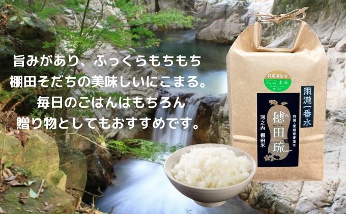 〈坂本自然農場 穂田琉〉 特別栽培米:にこまる 精米2kg ご飯 お弁当 おにぎり 冷めても美味しい 愛媛県産 ギフト プレゼント