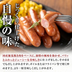 ＜2025年11月中に発送予定＞国産豚生ハム切り落とし・業務用荒挽き恵みウインナー(合計1.6kg) 生ハム おつまみ 小分け 【ナンチク】A941-11