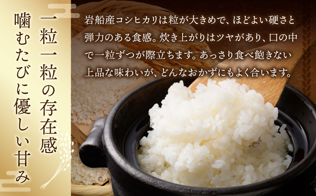 【令和7年産米】新潟県村上市岩船産コシヒカリ10kg（5kg×2袋）　1102002