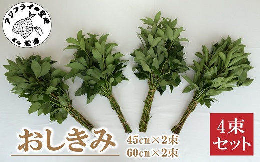 おしきみ4束セット( しきみ ハナシバ ハナノキ お悔やみ 仏壇 墓花 墓参り 仏前草 盆 お彼岸 4束セット )【A7-066】