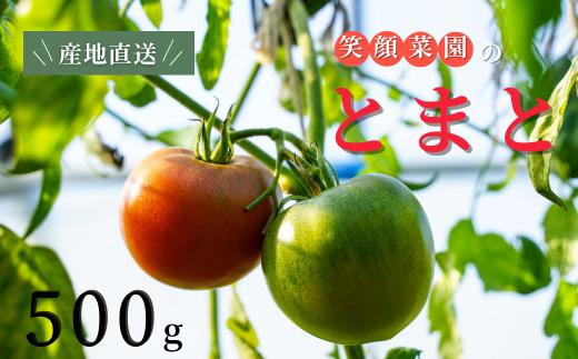 【旨みと甘味が人気！】笑顔菜園ひらまつの大玉トマト(トマト) 500g（60サイズ） | 新鮮野菜 旬の野菜 ヘルシー 健康 高糖度   大容量 リコピン ミネラル 健康 おやつ ギフト 贈り物 北海道 上川郡 [006-28]