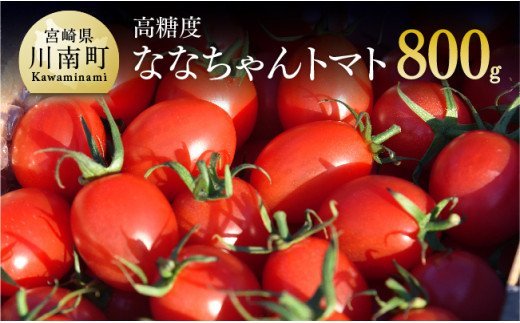 【令和8年産】宮崎県産トマト　ななちゃんトマト800g 【 ミニトマト とまと 九州産 宮崎県産 希少 健康 ヘルシー 】 [C00101]