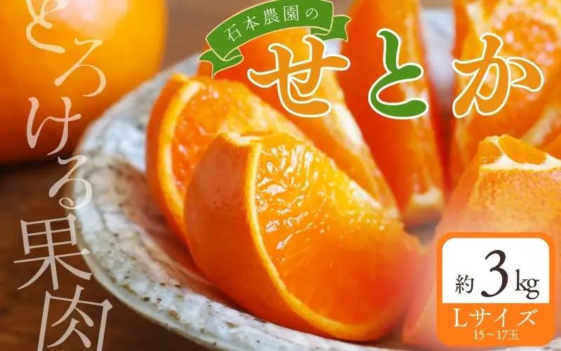 せとか 石本農園のハウスせとか 約3kg【mis022】