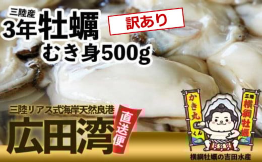 【訳あり】横綱牡蠣！吉田水産のむき身牡蠣 500g 加熱用〈規格外/不揃い〉【 牡蠣 かき 食べ比べ 冷蔵 三陸 リアス海岸 広田湾 3年牡蠣 】RT2295