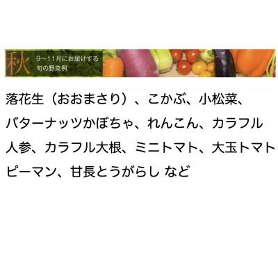 ふるさと納税 館山市 【毎月定期便】【中旬発送】こだわりの旬野菜BOX「リエビン」季節の野菜セット全6回 |  | 03