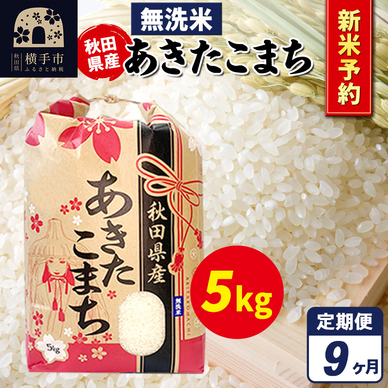 《令和7年産 新米受付》《定期便9ヶ月》あきたこまち 5kg【無洗米】秋田県産 こまちライン