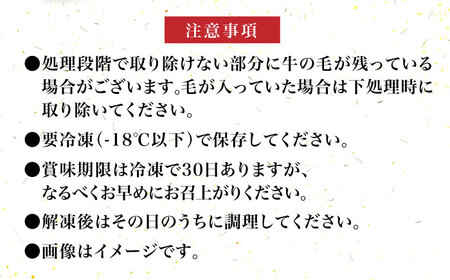 【お中元対象】【化粧箱入】博多和牛 牛すじ切落し 1kg《豊前市》【株式会社マル五】[VCL027] 牛すじ 牛すじ切り落とし 牛すじ切り落とし肉 牛すじ肉 牛すじ 牛すじ切り落とし 牛すじ切り落とし