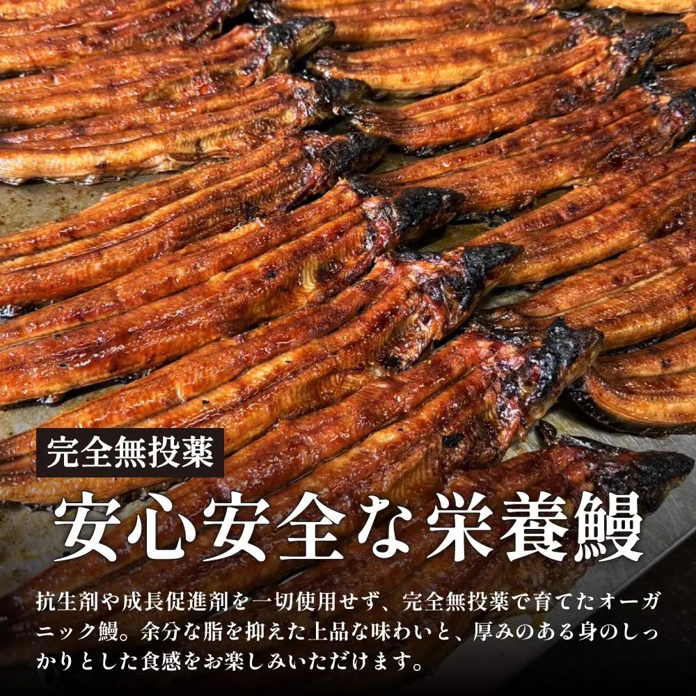 鰻 鰻の蒲焼き3尾セット