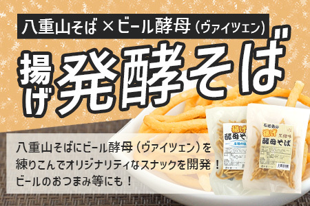 【ふるさと納税】最南端のクラフトビール＆石垣島の揚げ酵母そば　おつまみセット【 沖縄 石垣市 石垣島 ビール クラフト そば おつまみ 】V-28