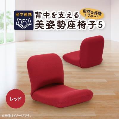 ふるさと納税 坂戸市 産学連携　背中を支える美姿勢座椅子5　レッド