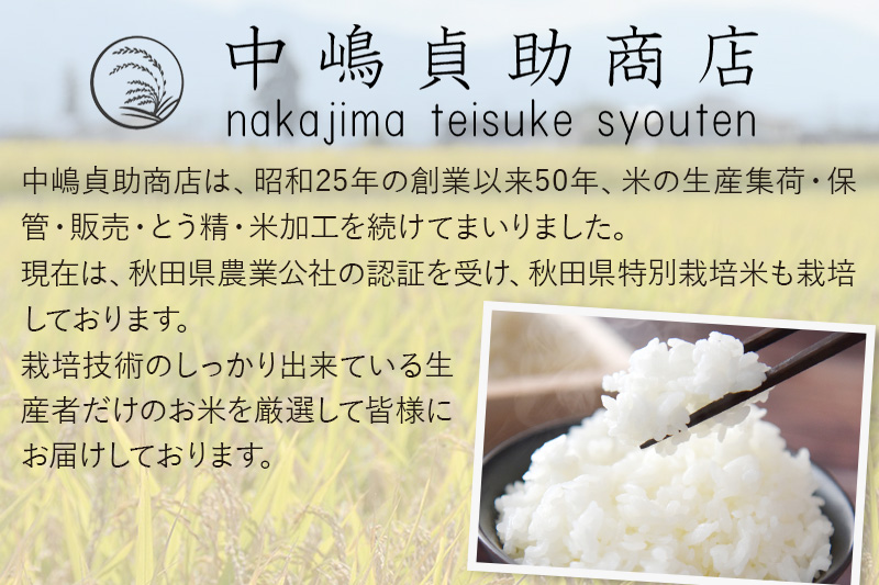 《令和6年産》秋田県横手産あきたこまち 10kg(10kg×1袋)