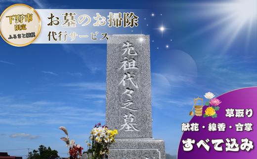 
                  お墓 清掃 代行サービス 選べる回数 １～12回「ふるさとのお墓 心を込めてお掃除します」 掃除 お掃除 代行  栃木県 しもつけ市 下野市
                