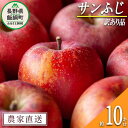 【ふるさと納税】 りんご サンふじ 訳あり 10kg 松橋りんご園 沖縄県への配送不可 令和6年度収穫分 長野県 飯綱町 【 傷 不揃い リンゴ 林檎 果物 フルーツ 19000円 信州 長野 】発送時期：2024年12月中旬～2025年3月上旬 {*}