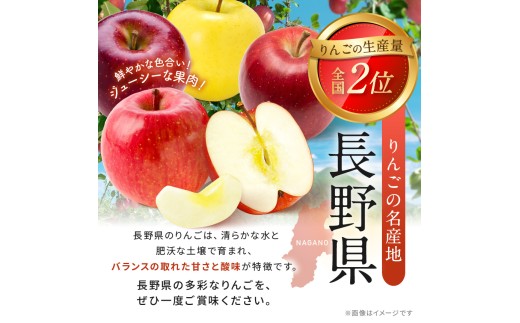 【先行予約】信州産 訳ありりんご【品種おまかせ】約３kg(8～１２玉) 【秋映・シナノスイート・シナノゴールド・名月・サンふじ・あいかの香り】《2026年10月上旬頃から発送》 | 果物 くだもの フルーツ 林檎 りんご リンゴ 信州産 秋映 シナノスイート シナノゴールド 名月 サンふじ  あいかの香り ワケあり 訳あり 家庭用 長野県 塩尻市