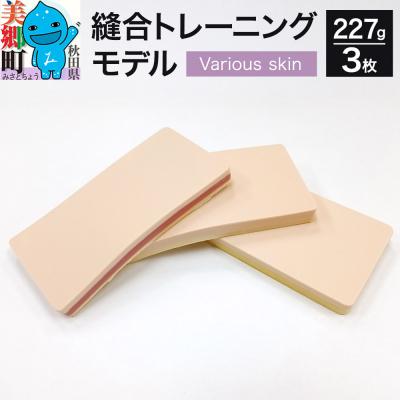 ふるさと納税 美郷町 縫合トレーニングモデル(Various skin)人工皮膚 医療施設|01_reg-020101