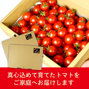 122-1 ミニ トマト フルーツ トマト ラブリーさくら うまたま 1kg × 2箱 計 2kg 国産 野菜 フルーツ 甘い 静岡県 牧之原市 山本農園 とまと とまと とまと とまと とまと とま