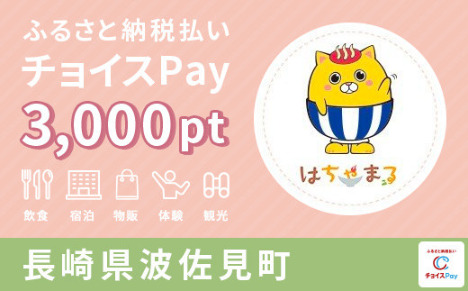 
ZZ05 チョイスPay 3,000pt（1pt＝1円）【会員限定のお礼の品】
