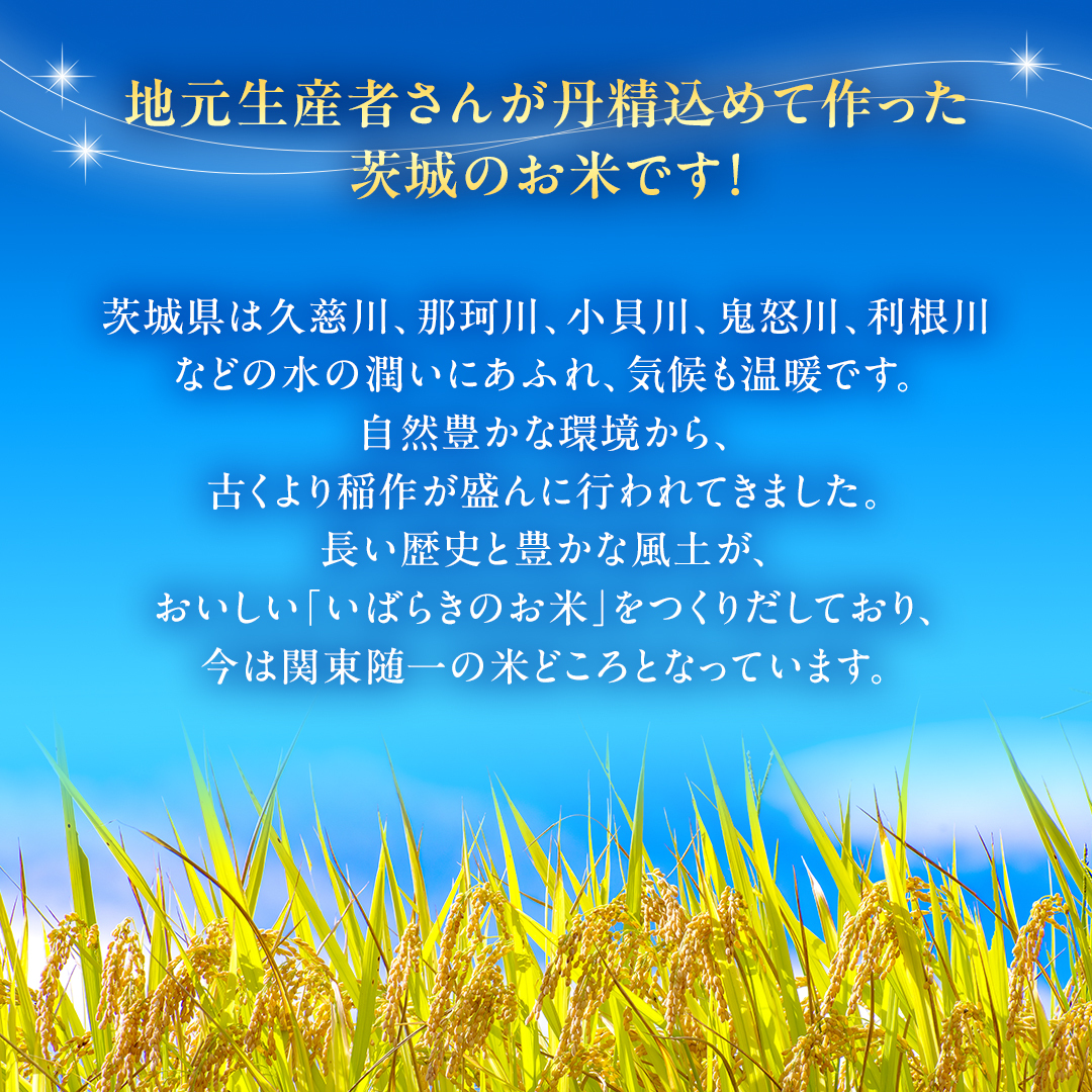 令和6年産 茨城県産 精米 ミルキークイーン 5kg （5kg×1袋） 新米 白米 米 コメ こめ 単一米 限定 茨城県産 国産 美味しい お米 おこめ おコメ [EH13-NT]_イメージ2