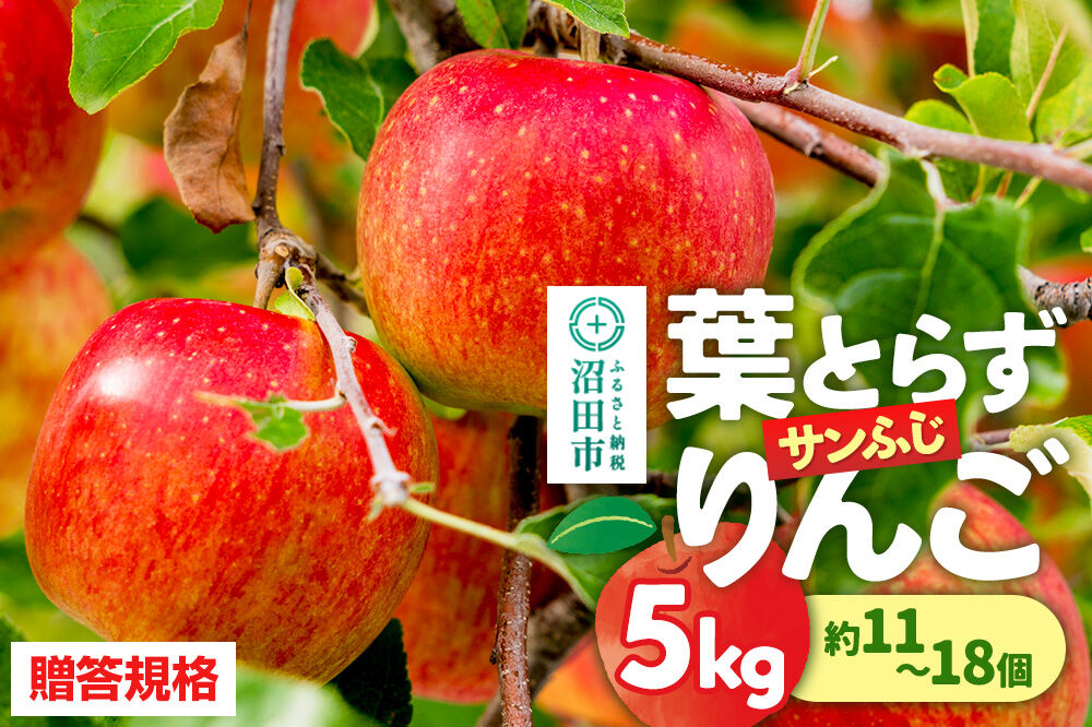 【12月上旬から12月中旬に発送】【贈答規格】葉とらず サンふじりんご 5kg（約11～18個） 蜜入り 永井農園 [りんご リンゴ 林檎 サンふじ 5kg 蜜入り 葉とらず]