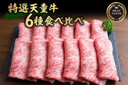 農林水産大臣賞受賞 特選 天童牛 6種 食べ比べ セット 山形牛 和の奏 和牛 牛肉 08-27-022