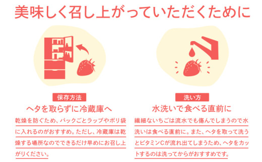 【2027年2月～2027年3月順次発送】あまおう  約250g×4パック