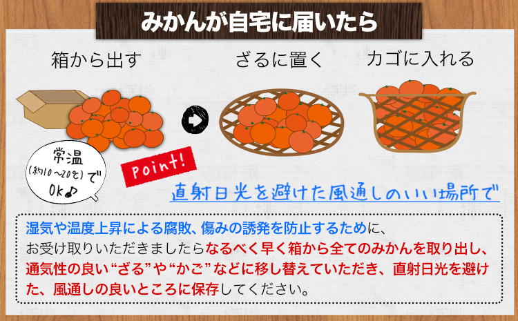 温州みかん 約3kg 日本フルーツ株式会社 熊本県 長洲町 《10月中旬-2月下旬頃出荷》 デコポン 果物 秀品 フルーツ スイーツ デザート ギフト ご贈答---sn_nfum_10c2g_26_8