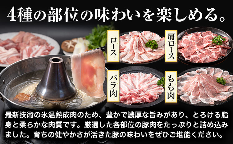 浅野農場厳選しゃぶしゃぶセット 肉 スマイル ポーク 豚肉セット 合計 9kg (1.5kg×6回) 6ヶ月定期便 《お申し込み月の翌月から出荷開始》 厳選 国産 ロース バラ 肩ロース モモ 鍋 豚